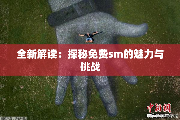 全新解读：探秘免费sm的魅力与挑战
