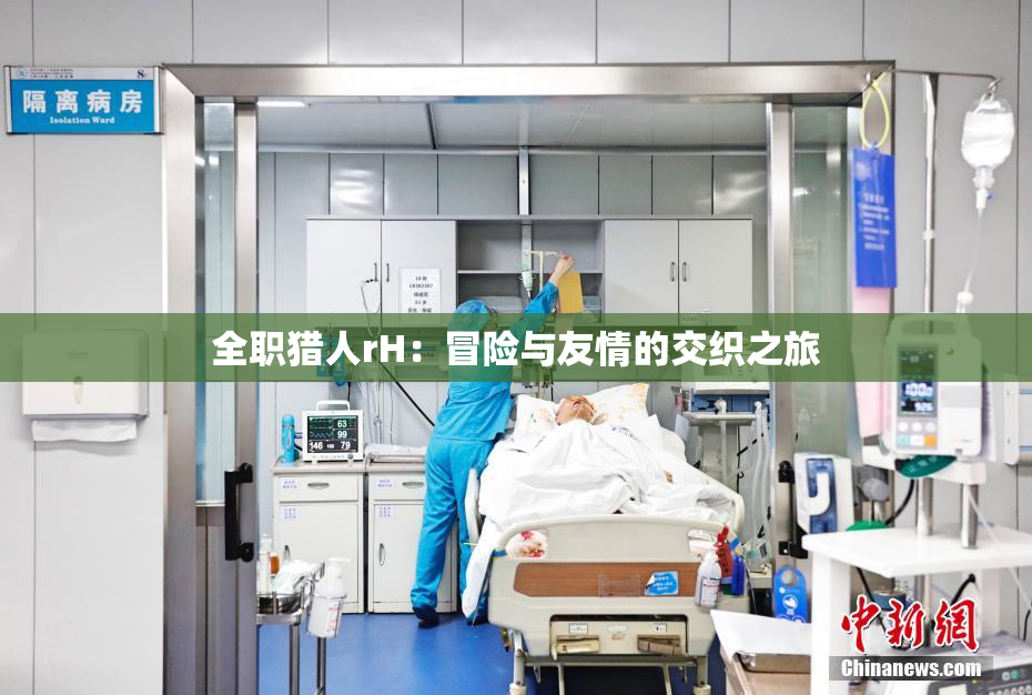 全职猎人rH：冒险与友情的交织之旅
