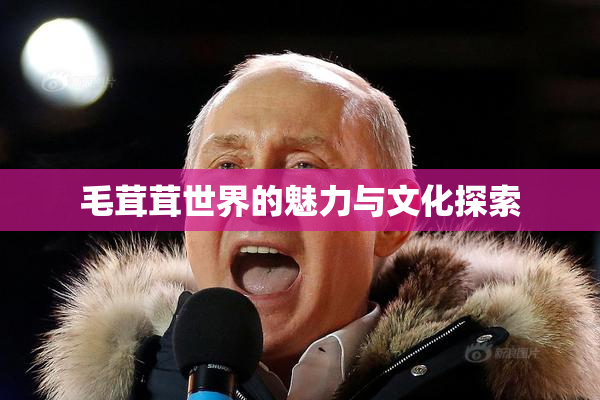 毛茸茸世界的魅力与文化探索