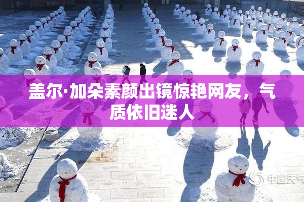 盖尔·加朵素颜出镜惊艳网友，气质依旧迷人