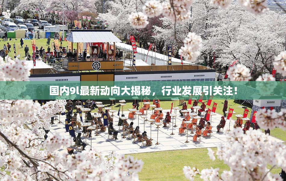 国内9l最新动向大揭秘，行业发展引关注！