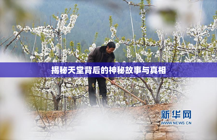 揭秘天堂背后的神秘故事与真相