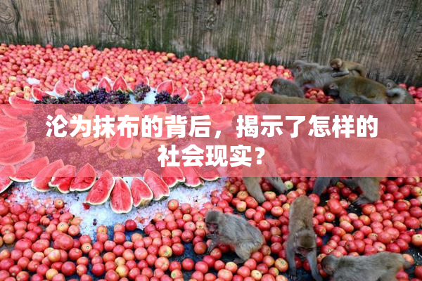 沦为抹布的背后，揭示了怎样的社会现实？