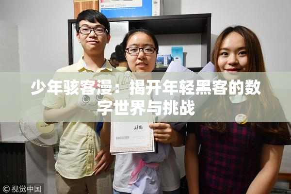少年骇客漫：揭开年轻黑客的数字世界与挑战