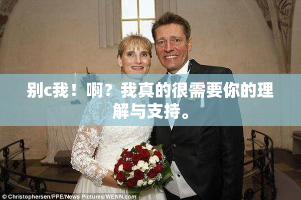 别c我！啊？我真的很需要你的理解与支持。