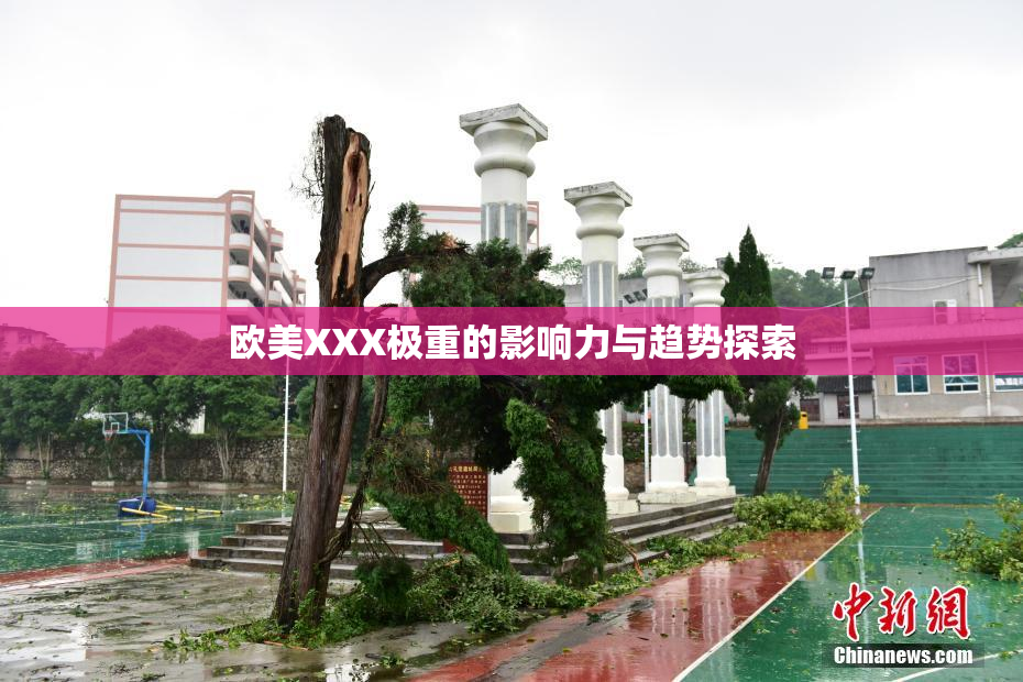 欧美XXX极重的影响力与趋势探索