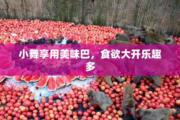 小舞享用美味巴，食欲大开乐趣多