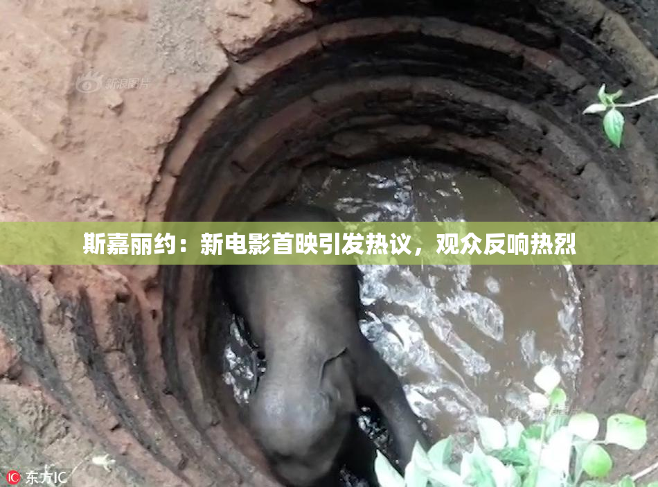 斯嘉丽约：新电影首映引发热议，观众反响热烈