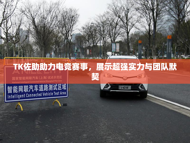 TK佐助助力电竞赛事，展示超强实力与团队默契