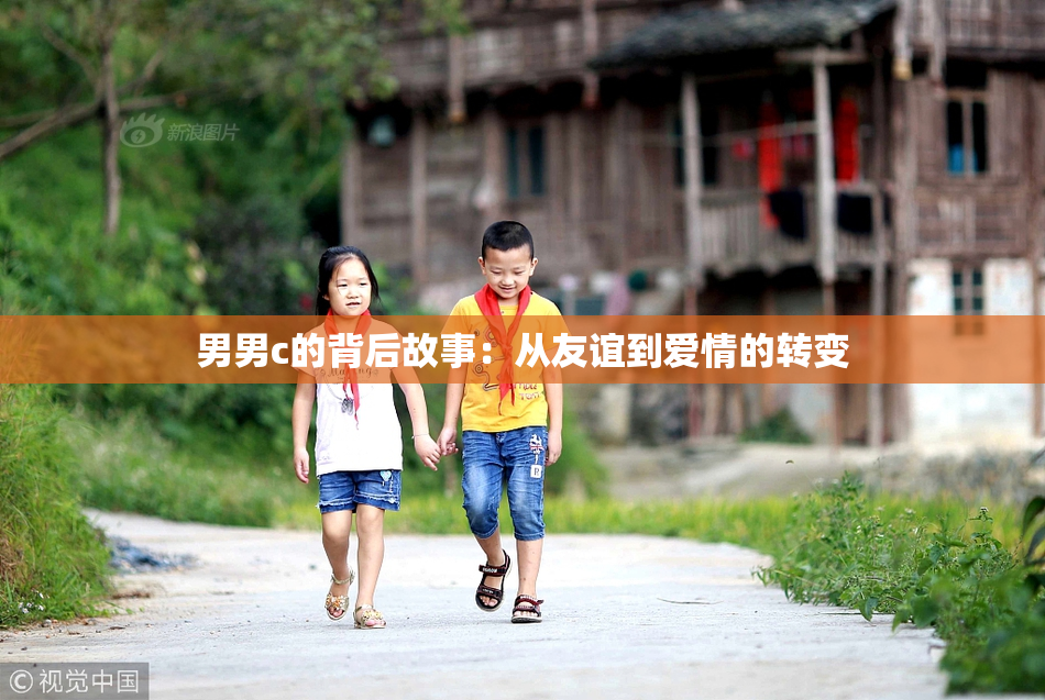 男男c的背后故事：从友谊到爱情的转变