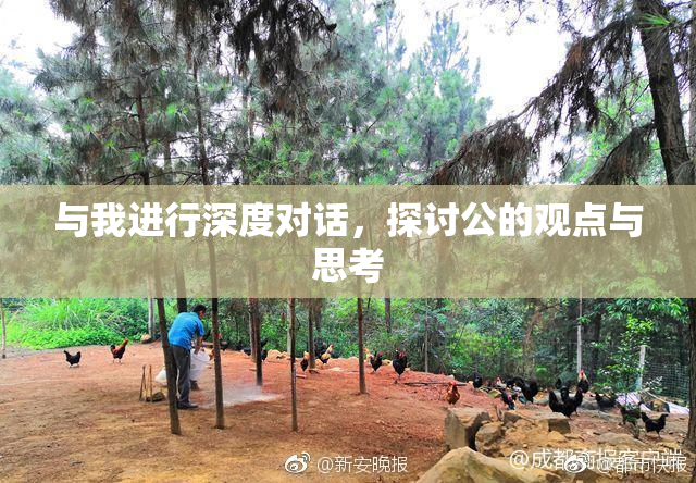 与我进行深度对话，探讨公的观点与思考