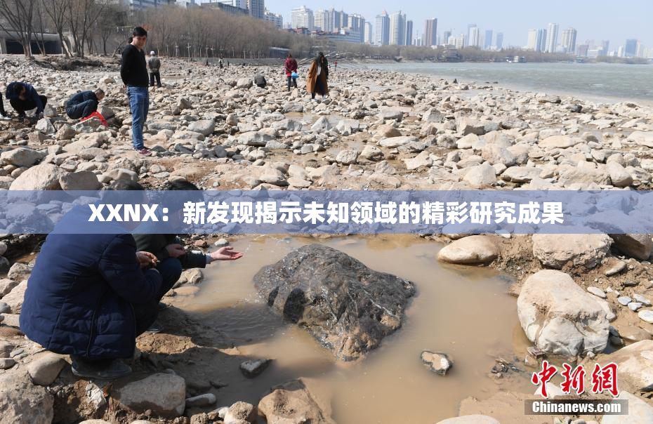XXNX：新发现揭示未知领域的精彩研究成果