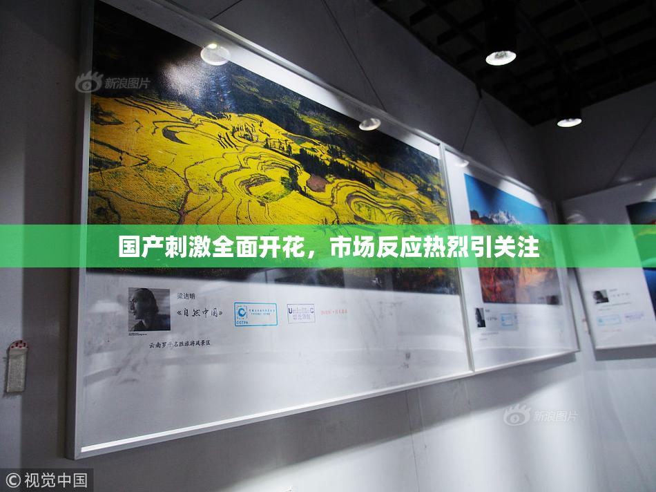 国产刺激全面开花，市场反应热烈引关注