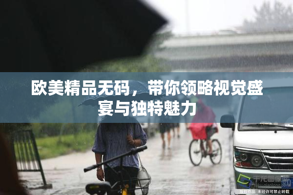 欧美精品无码，带你领略视觉盛宴与独特魅力