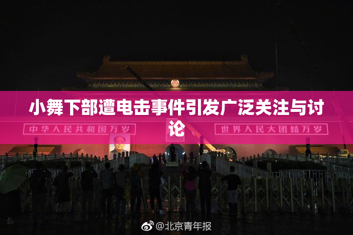 小舞下部遭电击事件引发广泛关注与讨论