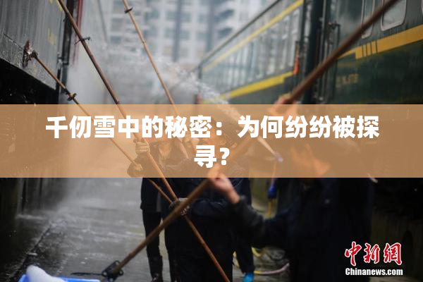 千仞雪中的秘密：为何纷纷被探寻？