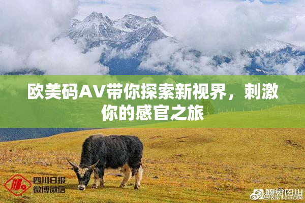 欧美码AV带你探索新视界，刺激你的感官之旅