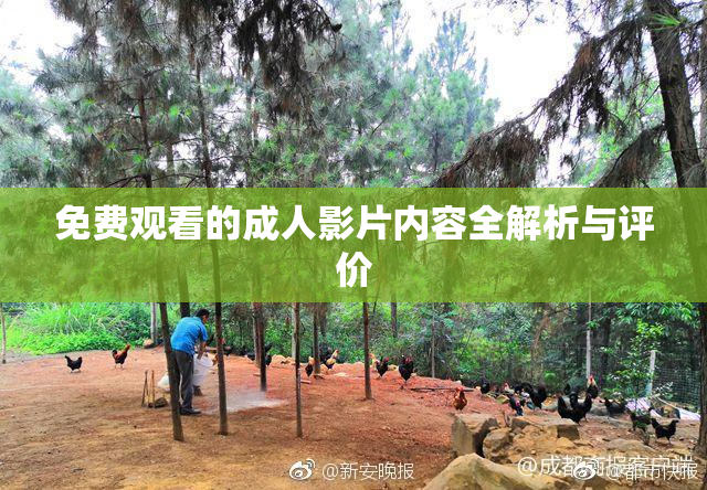 免费观看的成人影片内容全解析与评价