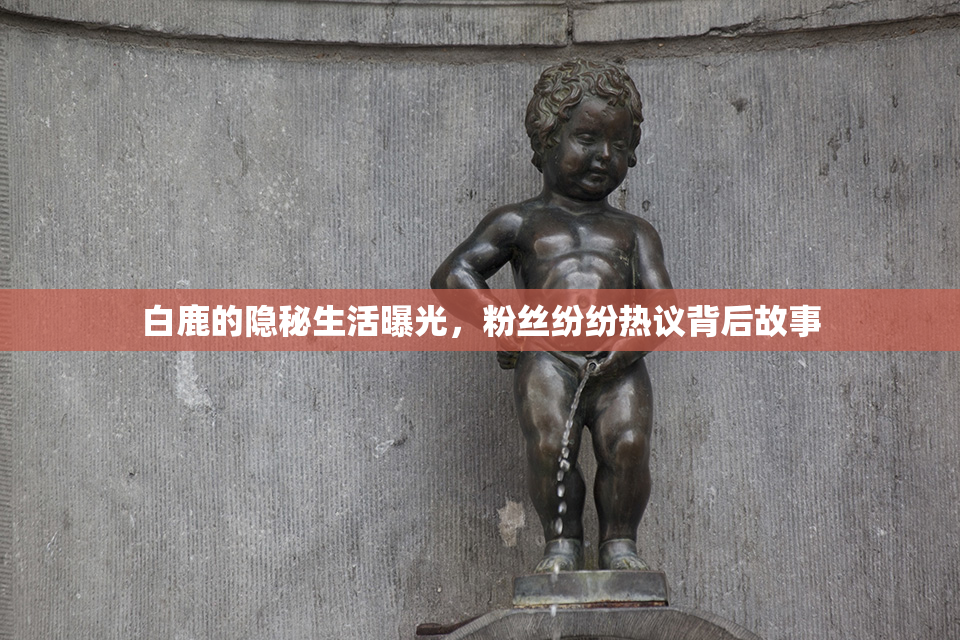 白鹿的隐秘生活曝光，粉丝纷纷热议背后故事