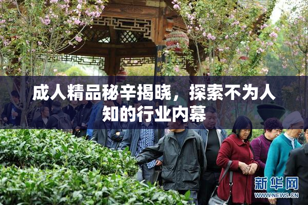 成人精品秘辛揭晓，探索不为人知的行业内幕