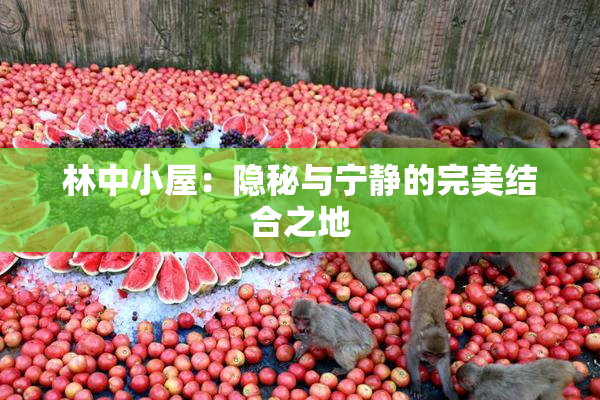 林中小屋：隐秘与宁静的完美结合之地