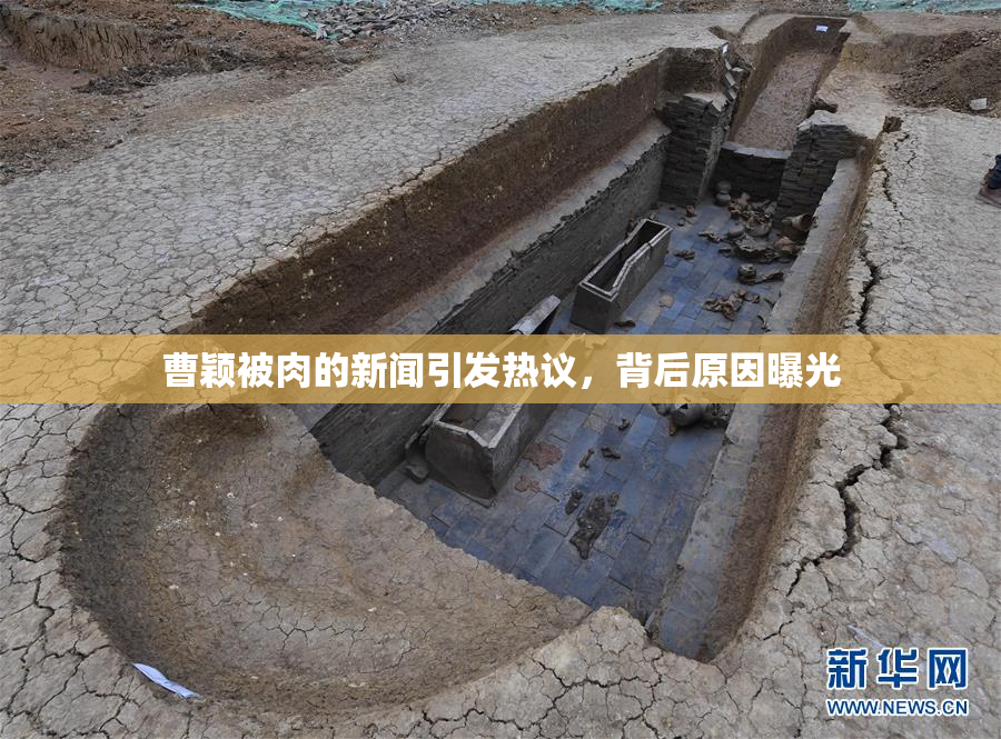 曹颖被肉的新闻引发热议，背后原因曝光