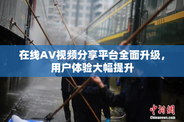 在线AV视频分享平台全面升级，用户体验大幅提升