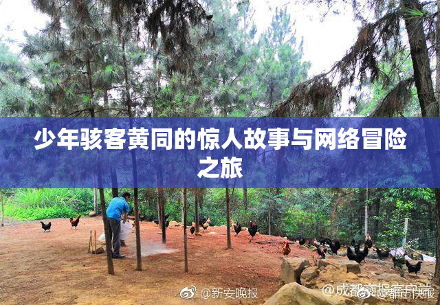少年骇客黄同的惊人故事与网络冒险之旅