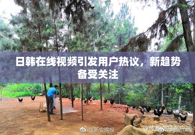 日韩在线视频引发用户热议，新趋势备受关注