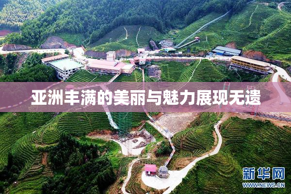 亚洲丰满的美丽与魅力展现无遗