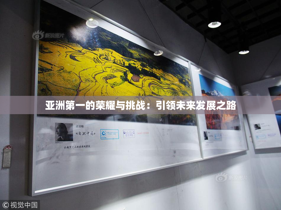 亚洲第一的荣耀与挑战：引领未来发展之路