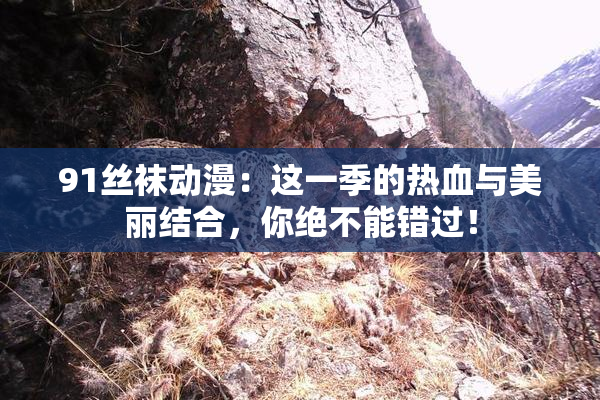 91丝袜动漫：这一季的热血与美丽结合，你绝不能错过！
