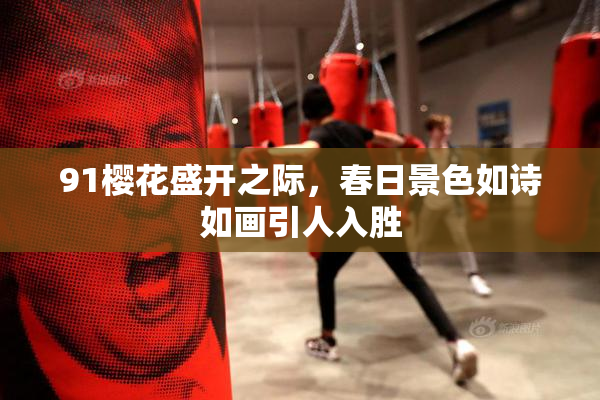 91樱花盛开之际，春日景色如诗如画引人入胜