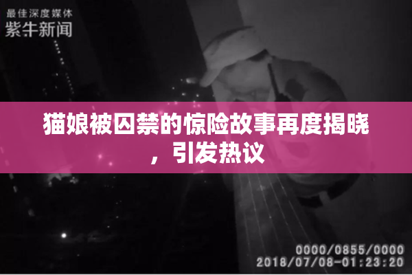 猫娘被囚禁的惊险故事再度揭晓，引发热议