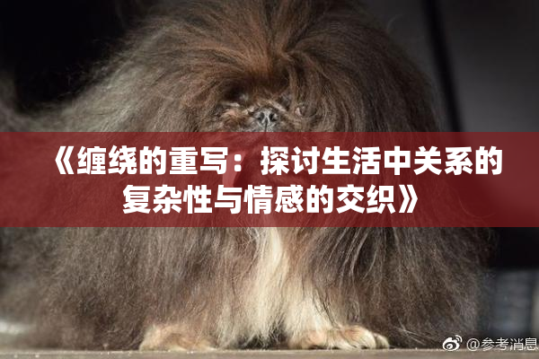 《缠绕的重写：探讨生活中关系的复杂性与情感的交织》