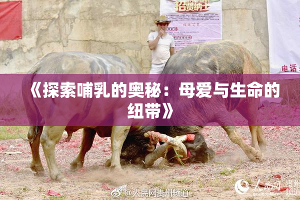 《探索哺乳的奥秘：母爱与生命的纽带》