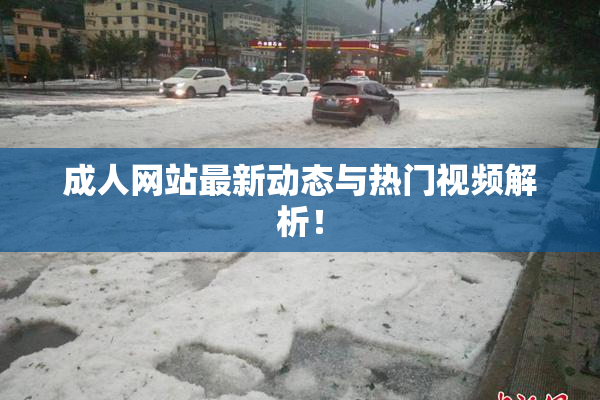 成人网站最新动态与热门视频解析！