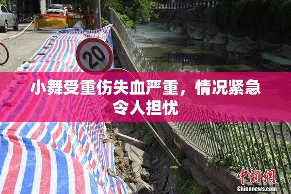 小舞受重伤失血严重，情况紧急令人担忧