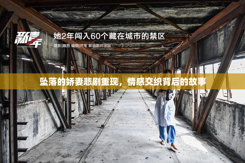 坠落的娇妻悲剧重现，情感交织背后的故事