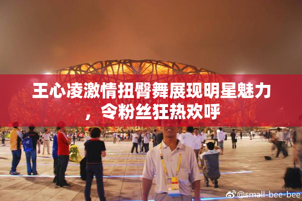 王心凌激情扭臀舞展现明星魅力，令粉丝狂热欢呼