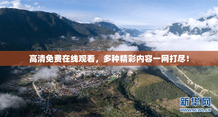 高清免费在线观看，多种精彩内容一网打尽！