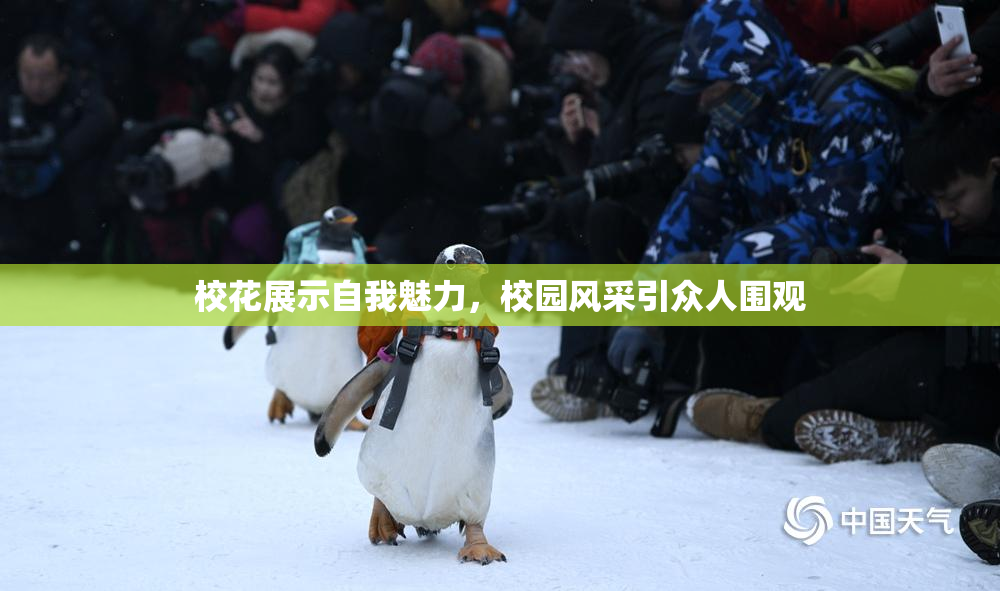 校花展示自我魅力，校园风采引众人围观
