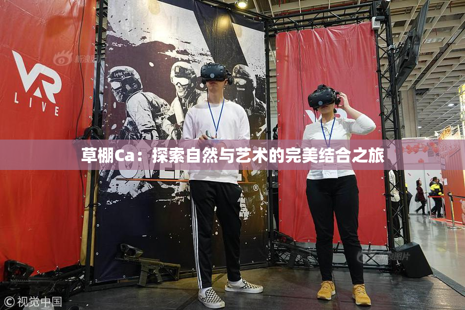 草棚Ca：探索自然与艺术的完美结合之旅