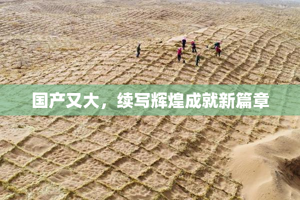 国产又大，续写辉煌成就新篇章