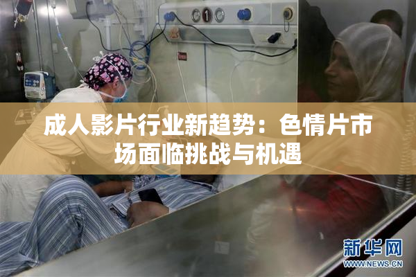 成人影片行业新趋势：色情片市场面临挑战与机遇