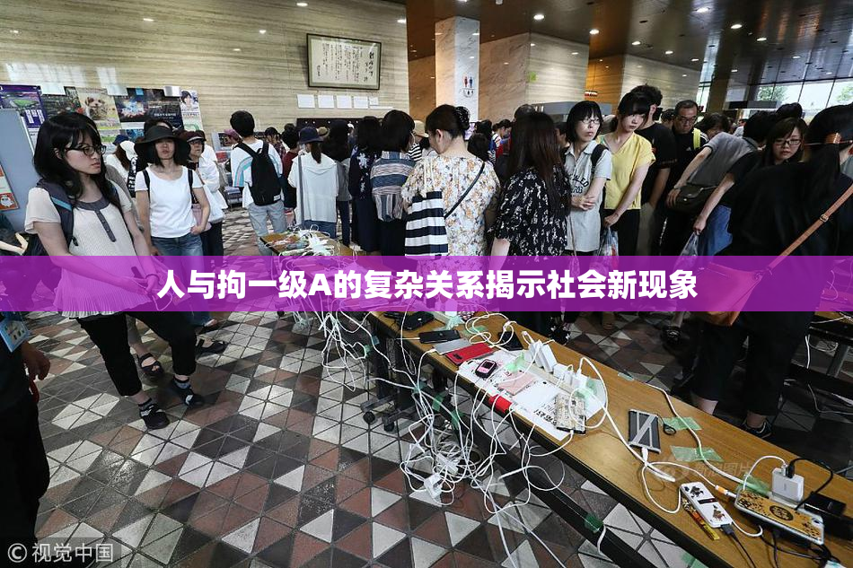 人与拘一级A的复杂关系揭示社会新现象