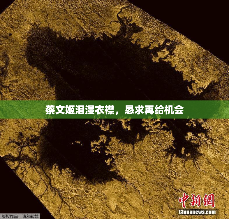 蔡文姬泪湿衣襟，恳求再给机会