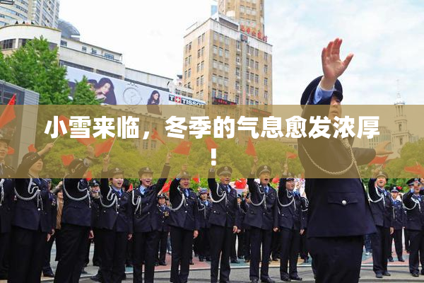 小雪来临，冬季的气息愈发浓厚!