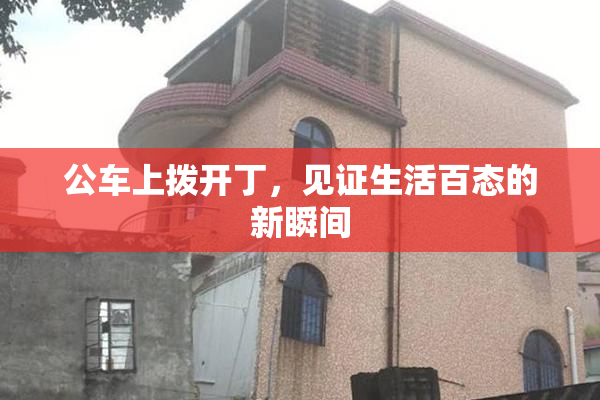 公车上拨开丁，见证生活百态的新瞬间