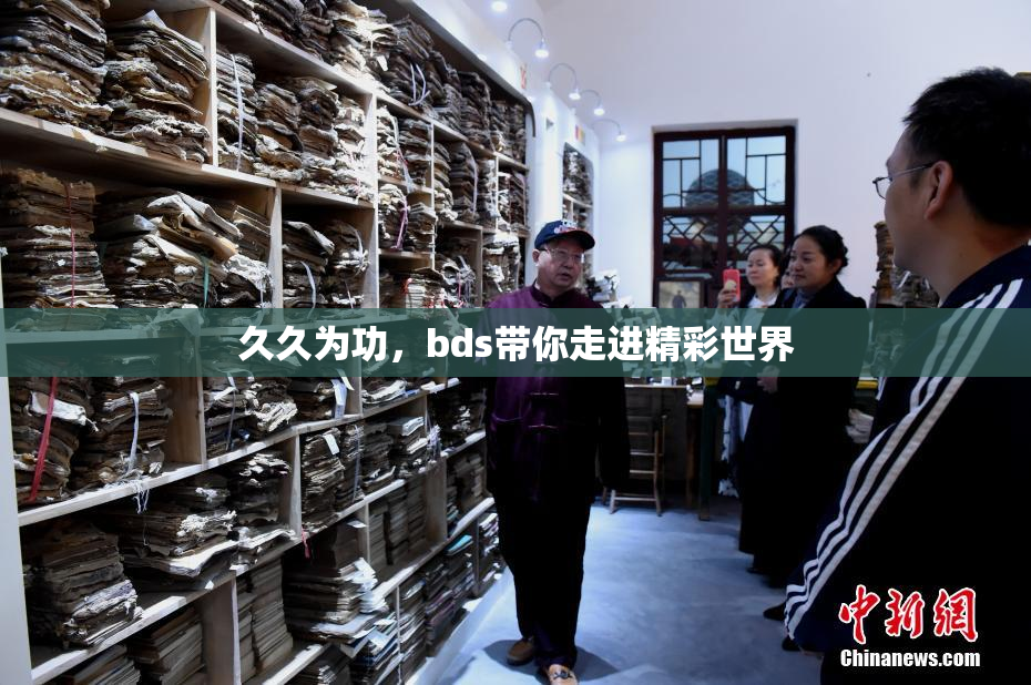 久久为功，bds带你走进精彩世界